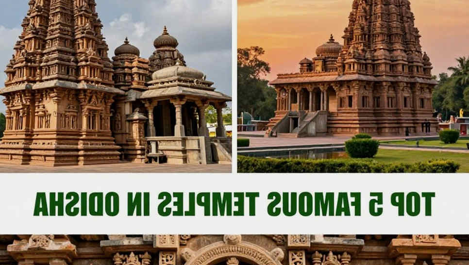 ভিয়েতনাম-কাজাখস্তান ৭ম-৮ম স্থান নির্ধারণী ম্যাচ: একটি অপ্রমাণিত রিপোর্টের কৌশলগত শূন্যতা